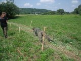 DSCF0274