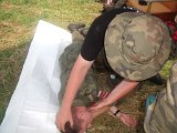DSCF0491