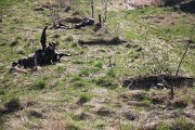 IMG_9228