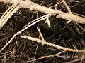 PICT0109