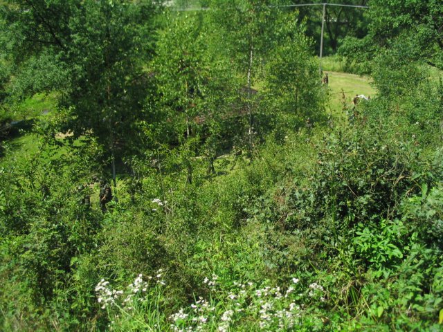 img_0250.jpg