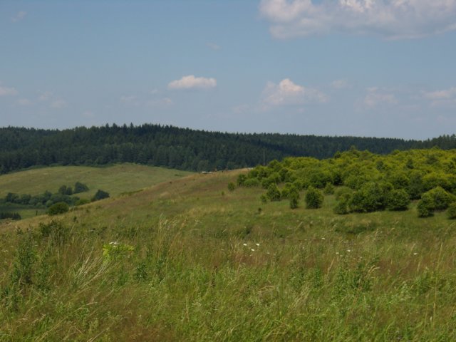 p7150074.jpg
