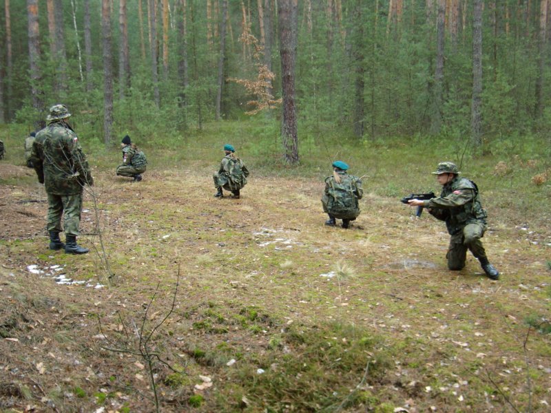 p1171377.jpg