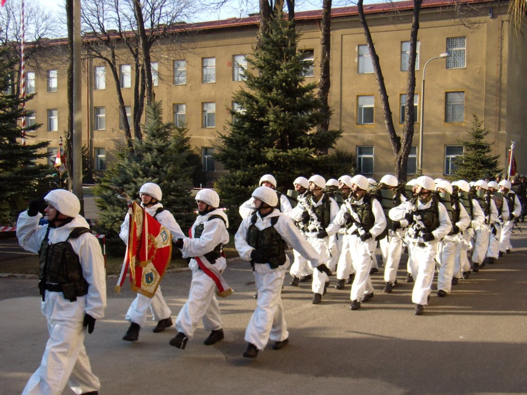 zdjciastrzelec2008031.jpg