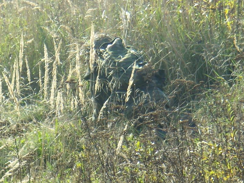 PA110842.JPG
