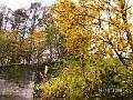 PICT0037